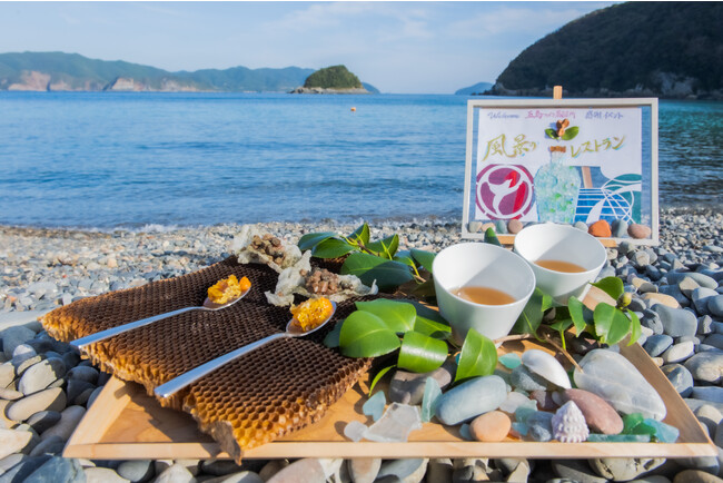 五島つばき蒸溜所 感謝イベント「風景のレストラン」開催