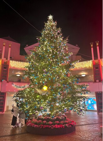 ディズニー100周年映画『ウィッシュ』公開記念 特別なクリスマスツリーがイクスピアリに登場！