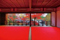 紅葉イベントを京都「柳谷観音」にて11/11(土)～12/3(日)開催　SNSで人気の“花手水”発祥の地　ライトアップ、上書院特別公開、限定御朱印も登場