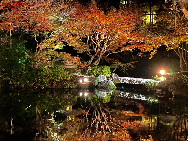 品川区立池田山公園でライトアップイベント「紅葉の燈明-みあかし―」