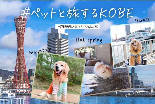 愛犬とのおでかけ情報メディア「おでかけわんこ部」と連携しペットと楽しめる神戸市内の飲食店や宿泊施設、おすすめモデルコースをご紹介！「♯ペットと旅するKOBE」特設ページが本格始動