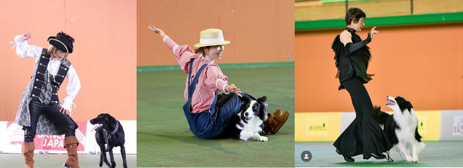 新田ゼラチン「ドッグダンス大会」へ協賛　人と犬が一緒に楽しむ競技を応援