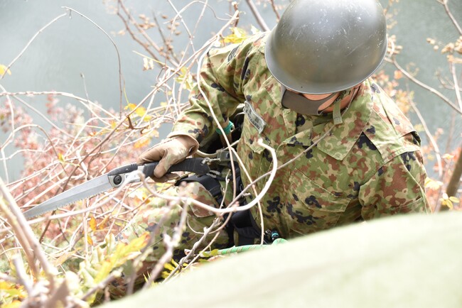 忍者が高石垣で伐採作業！？【三重県伊賀市】