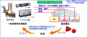ごみ処理施設で生じる燃焼ガス中のCO2をイチゴ栽培に利用する実証を開始