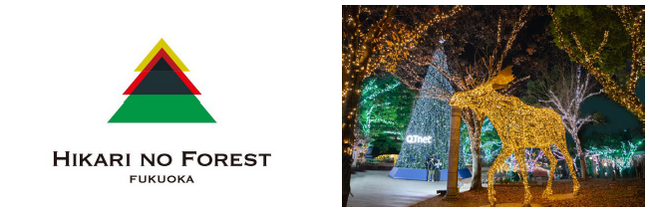 福岡を彩るクリスマスアドベント　天神中央公園会場 「QTnet presents 光のフォレスト」11月16日（木）からスタート