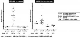 小麦アレルギー患者の診断精度を向上する新規抗原「α/β gliadin MM1」を発見
