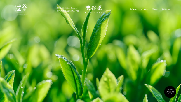 幻の銘茶『渋谷茶』復活プロジェクト、始動！数量限定で貴重な渋谷茶の苗木を無償提供するキャンペーン実施中！