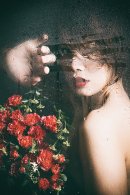 写真展「-Tears-」 写真展「-Tears-」