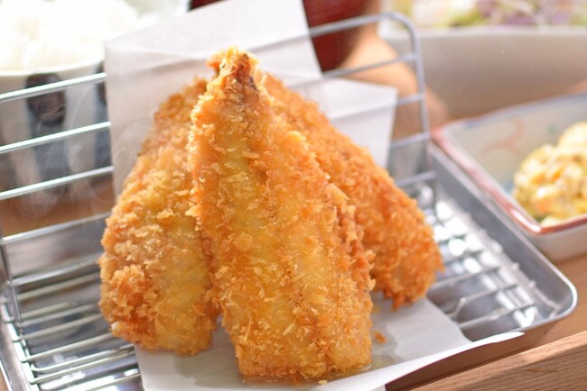 魚屋直営のアジフライ専門店「小田原アジフライセンター 磯のや」が小田原駅前に11月21日オープン！