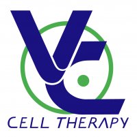 iPS細胞による網膜再生医療を牽引する株式会社VC Cell Therapyが6億円の第三者割当増資による資金調達を実施　累計資金調達額は約17億円に
