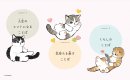 画像2＿『mofusandのことわざ120』目次
