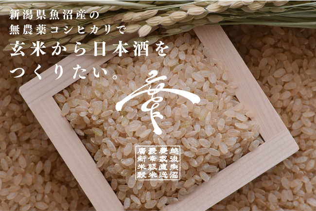 無農薬コシヒカリ玄米で挑む日本酒製造！新潟の伝統と革新を結ぶプロジェクト。CAMPFIREにてクラウドファンディングで支援募集開始