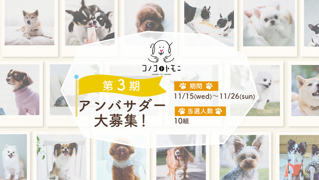 本日11月15日（水）からエントリー開始！「このこのごはん」を販売するペットフードブランド《コノコトトモニ》が第3期公式アンバサダーを大募集！【株式会社オモヤ】
