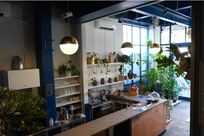 【NEW OPEN】清澄白河にカフェとアートと観葉植物を融合した「le bois（ル・ボア）」がオープン！これまでにない新しいクロワッサンサンドが話題に！