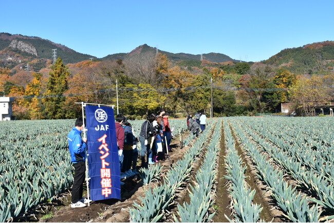 【JAF群馬】「下仁田ネギの収穫体験と大名焼き」イベントを開催