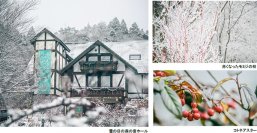 ROKKO森の音ミュージアムSIKIガーデンWinterSeason雪の日の土日祝限定「ウィンターガーデン雪の日さんぽ」も開催2023年12月16日（土）～2024年2月25日（日）