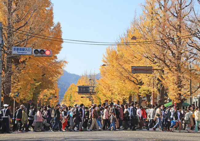 『第44回八王子いちょう祭り』来訪者の移動手段としてシェアサイクルを提供