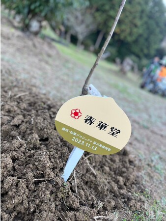 春華堂、「遠州・和栗プロジェクト 掛川栗植樹祭 in 掛川 早川栗園」に参加！