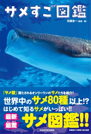 国内外のサメ80種以上が登場!?「沖縄美ら海水族館」全面協力の最新＆最驚サメ図鑑『サメすご図鑑』2023年11月18日（土）発売！