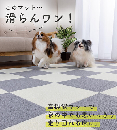【ペットの快適な暮らしのため全国を奔走！サンコーペットわんにゃんキャラバン】サンコー「うちの子ダイスキ！in 新宿マルイ 本館」に初出店！
