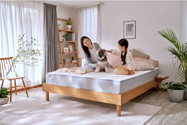 最大20％OFFになる「コアラブラックフライデーセール」2023年11月20日（月）～11月27日（月）まで開催