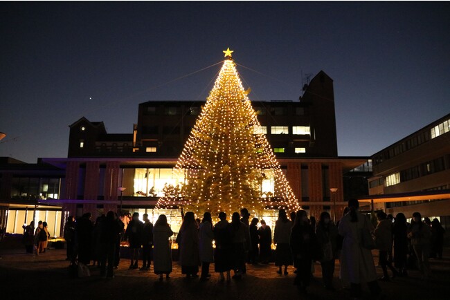 同志社女子大学 両キャンパスでクリスマスツリー点灯式を開催