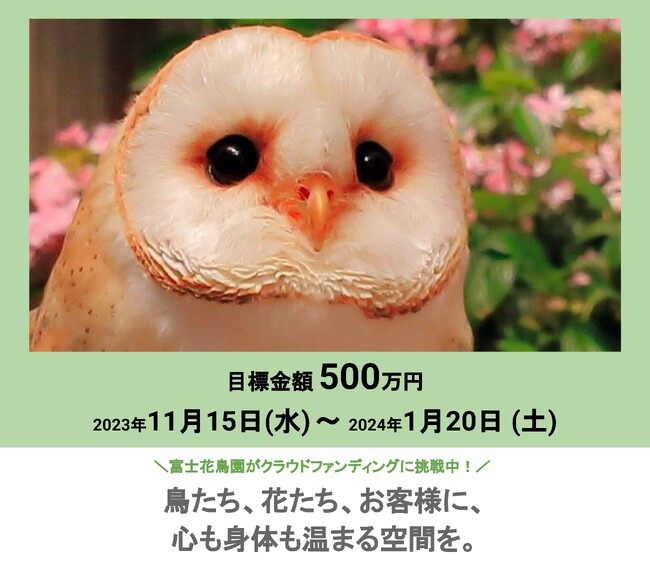 クラウドファンディング「富士花鳥園（静岡県富士宮市）｜【第３弾】鳥たち、花たち、お客様に、心も身体も温まる空間を。」スタート!