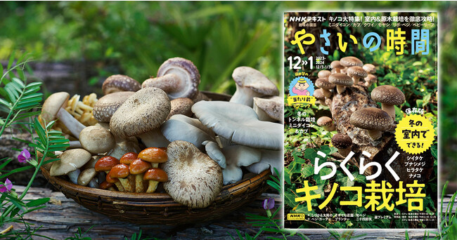 『趣味の園芸 やさいの時間』12-1月号は創刊以来初の「キノコ」特集!