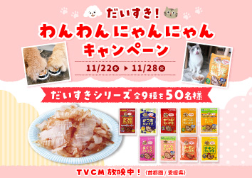 11月22日は「わんわんにゃんにゃんの日」！だいすきなねこちゃん・わんちゃんにマルトモ だいすきシリーズが当たるX（旧 Twitter）キャンペーン実施！