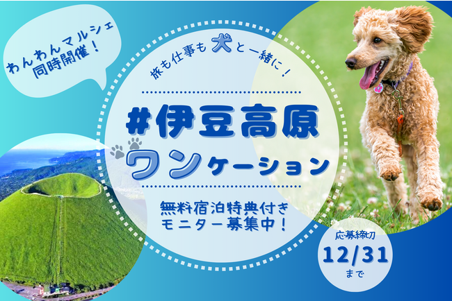 旅も仕事も学びも、犬と一緒に！「伊豆高原ワンケーション」無料宿泊特典付き！モニター募集開始