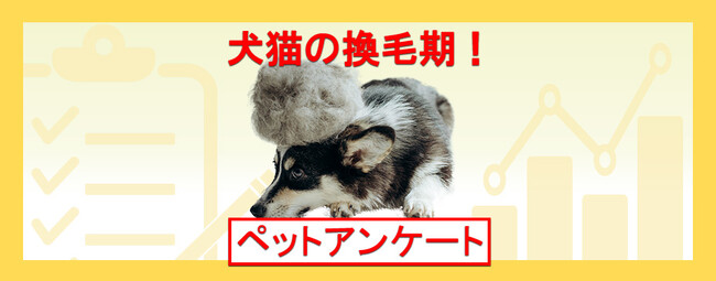 11月は犬猫の換毛期！抜け毛対策やグッズのおすすめを調査！『ペット保険比較のピクシー』