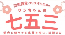 7歳、5歳、3歳の愛犬に贈る特別企画！「ワンちゃんホテル」として知られる湘南鎌倉クリスタルホテルが、11月末まで「ワンちゃんの七五三」キャンペーンを開催