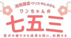 7歳、5歳、3歳の愛犬に贈る特別企画！「ワンちゃんホテル」として知られる湘南鎌倉クリスタルホテルが、11月末まで「ワンちゃんの七五三」キャンペーンを開催
