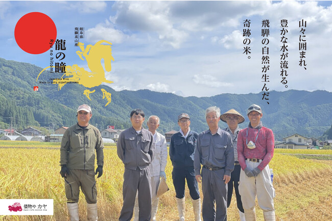 【倭物やカヤ】お年賀お届け 粒の大きさ1.5倍 2024年干支米『龍の瞳』ギフトセット
