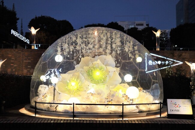 凛と咲き誇る大輪のクリスマスローズ「ITOCHU SDGs STUDIO DOME」第四弾「冬の道しるべ」