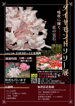 加茂荘花鳥園：ダイヤモンドリリー展　開催中！