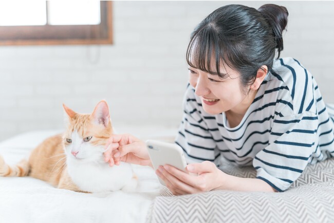 アイダ設計　猫と飼い主に優しいオプションパック　2023年11月28日（火）より発売開始