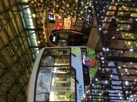 過去の開催時のようす