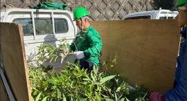 定年後のシニアの新しい働き方、植木屋のお手伝いを通して社会と係わるお庭きれいサポーター
