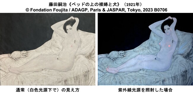 レオナール・フジタ（藤田嗣治）が描いた肌質感の秘密を、蛍光スペクトル解析によって解明