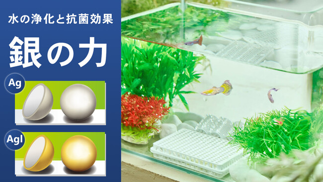 水に入れるだけで抗菌。水の劣化を遅らせる銀とヨウ化銀コートのセラミックボールをMakuakeにて先行予約開始