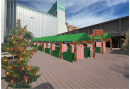 GREENING広場のクリスマス装飾イメージ GREENING広場のクリスマス装飾イメージ