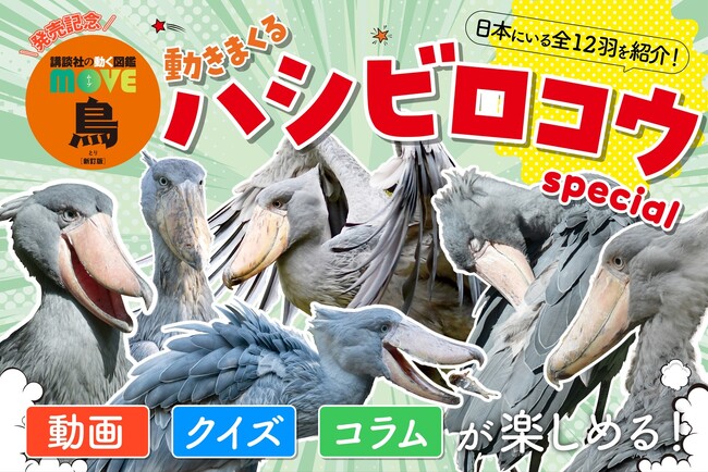 「講談社の動く図鑑MOVE」の新刊発売＆累計５７０万部突破記念！　MOVE新刊『鳥　新訂版』の表紙を飾るハシビロコウのクイズや動画が盛りだくさん！　「動きまくるハシビロコウ」の特設イベントが開催中！