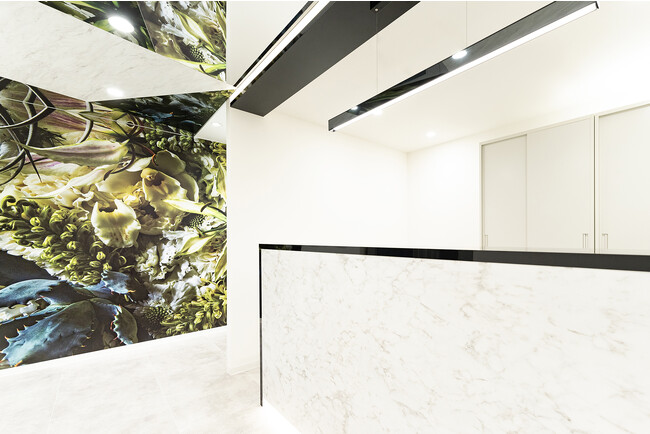 美容クリニック「TCB東京中央美容外科 松江院」が12月1日（金）より、休診日がなくなりフルオープンになります