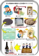 Co2削減米の日本酒マトリクス