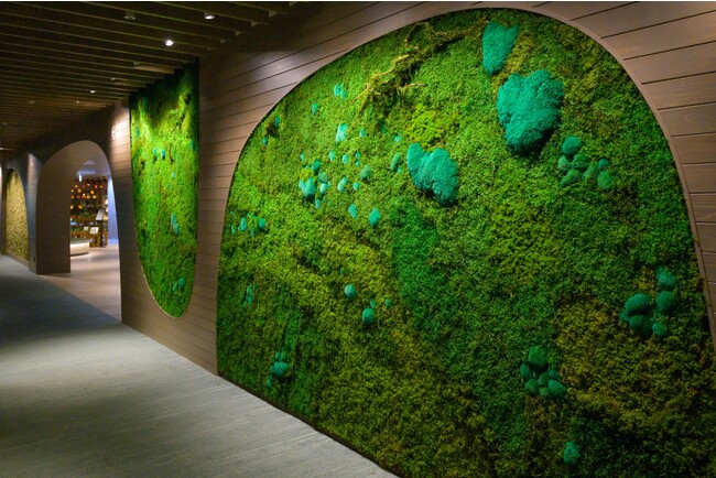 【星野リゾート　奥入瀬渓流ホテル】奥入瀬渓流の大自然を苔で表現した、特別デザインの「おいらせ苔アートウォール」誕生｜作品完成日：2023年11月24日
