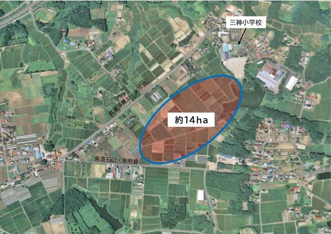 福島県矢吹町の農業型街づくりにコンサルタントとして参画、14haの水田を畑地化して農業法人に貸し出すプロジェクト