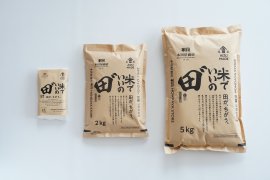 米でいいの田゛パッケージ 米でいいの田゛パッケージ