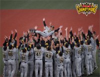 【緊急発売！】阪神タイガース実に38年ぶりの日本一を記念したプレミアムなアートパネルが発売決定！