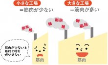 脱・正月太り！実は冬はダイエットに効果的な季節⁉　専門家に聞く、正月太り予防・解消の近道とは